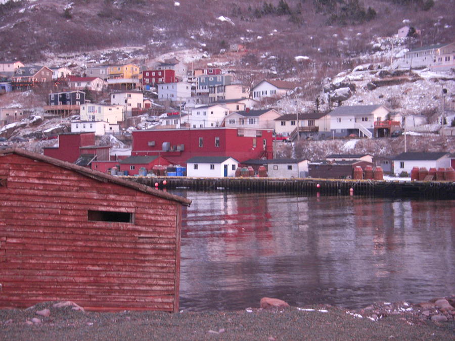 Petty Harbour Photograph by Dara Burry - Fine Art America