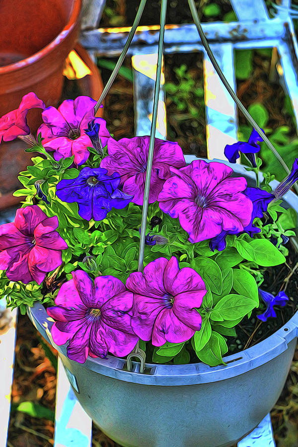 Petunia - Photopainting Photograph by Allen Beatty