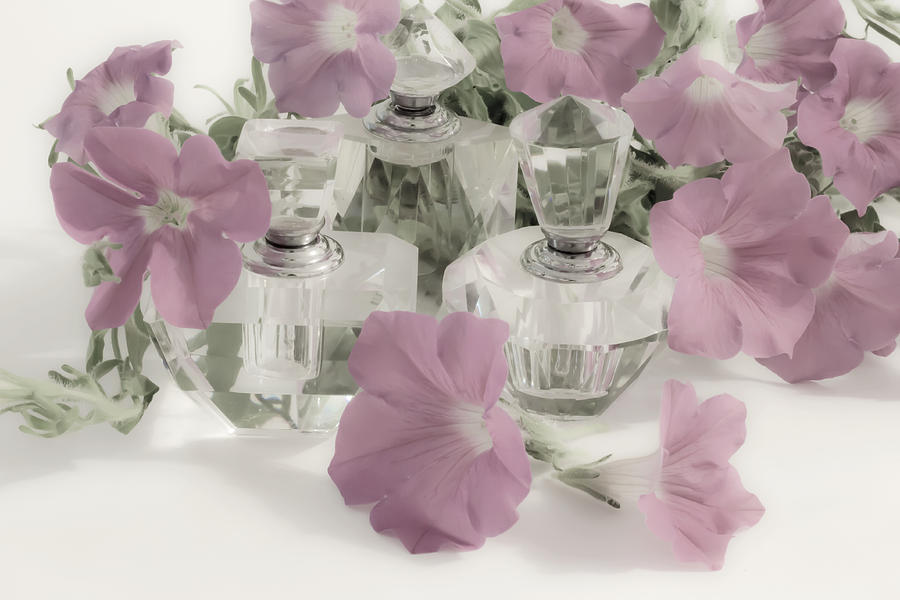 Petunias And Perfume - Soft Photograph by Sandra Foster