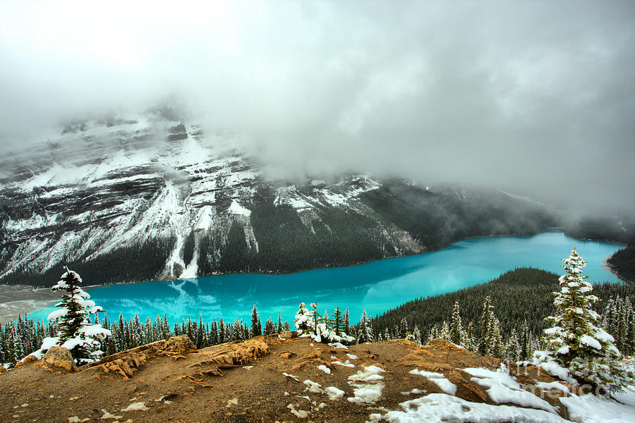 Peyto Blue In A Sea Of Fog Photograph by Adam Jewell