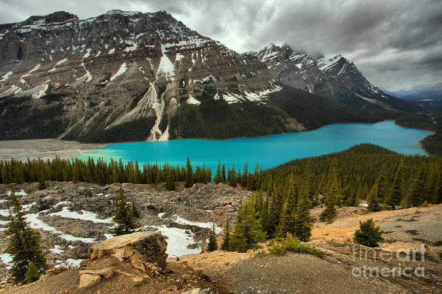 Peyto Blue Under Stormy Skies Photograph by Adam Jewell