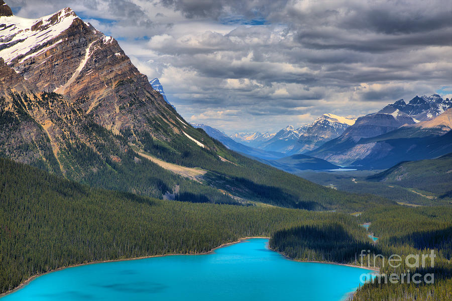 Peyto In The Rockies Photograph by Adam Jewell