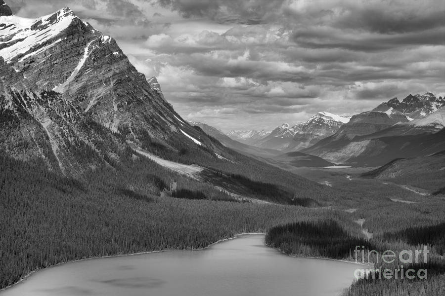 Peyto In The Rockies Black And White Photograph by Adam Jewell