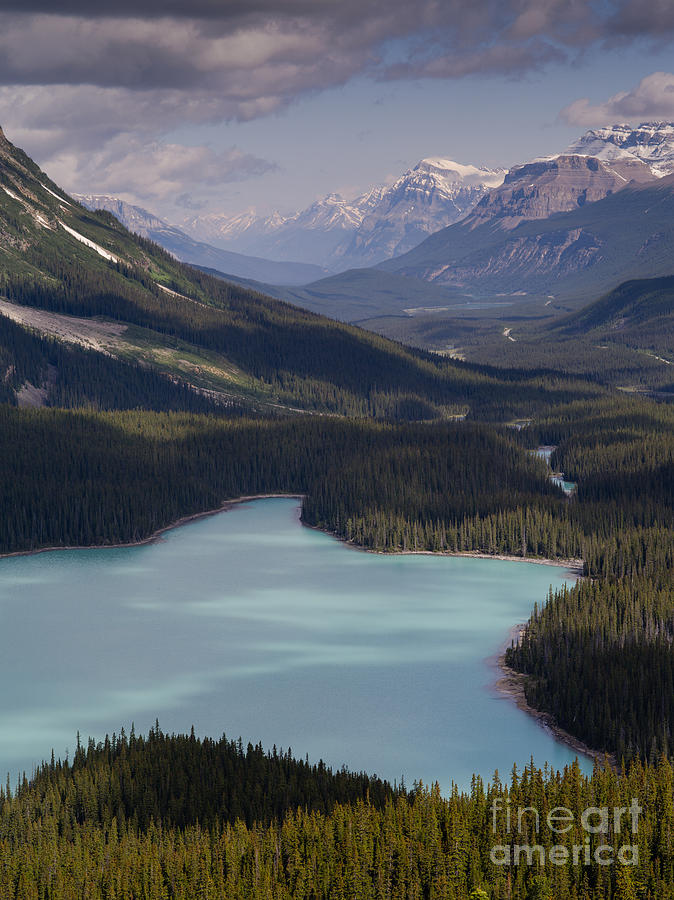 Banff National Park Photograph - Peyto Lake 4 by Tracy Knauer