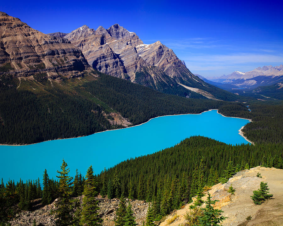 Peyto Lake Photograph by Adonis Villanueva - Fine Art America