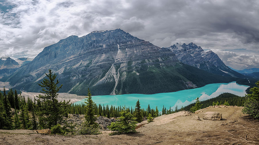 Peyto Lake Banff Photograph by Joan Carroll