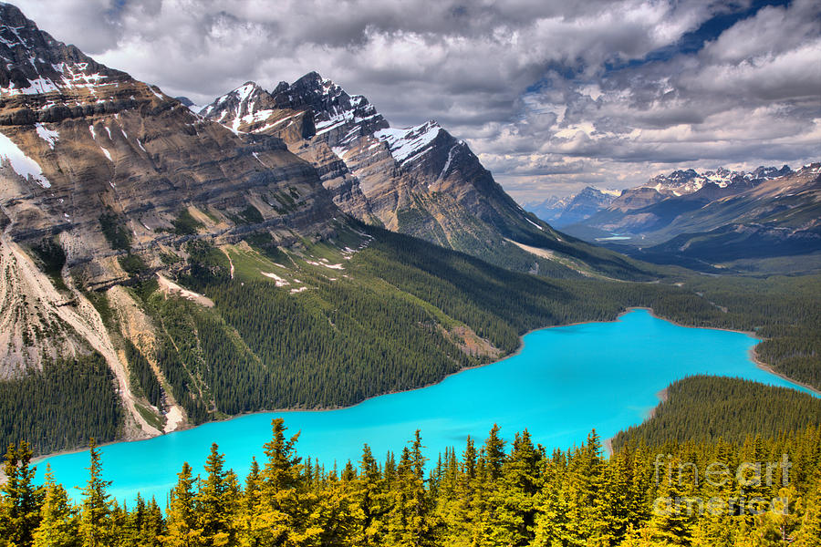 Peyto Lake Between The Peaks Photograph by Adam Jewell