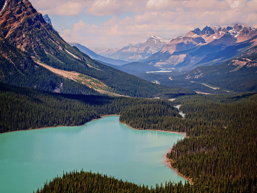Peyto Lake Photograph by Catherine Reading