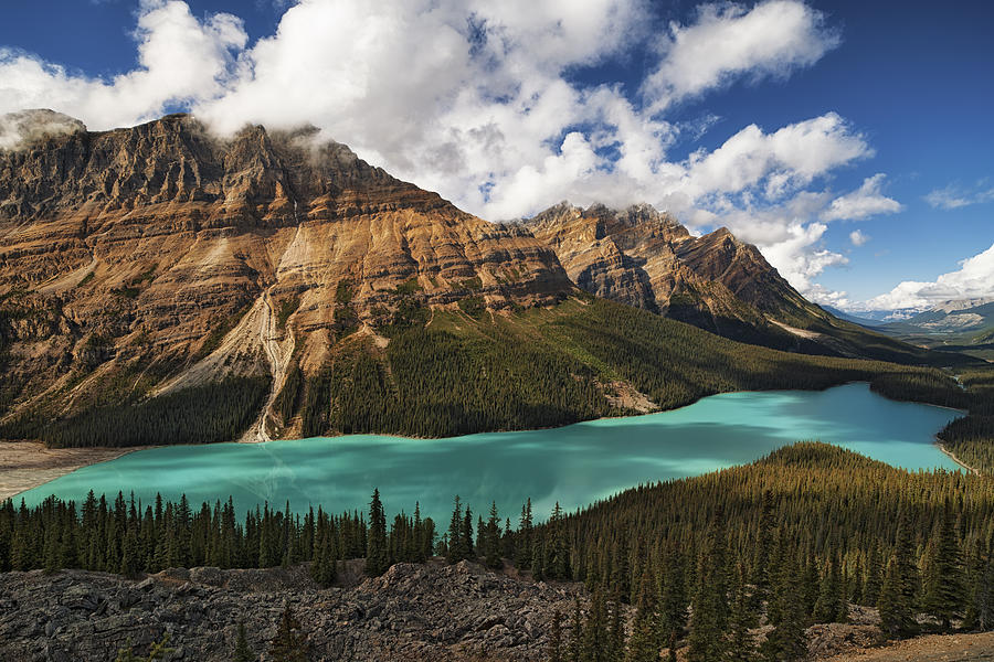 Peyto Lake In Banff National Park. Photograph By Larry Geddis - Fine 