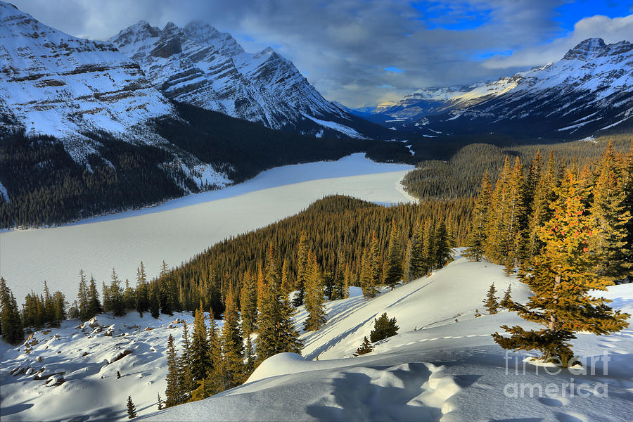 Peyto Lake In The Dead Of Winter Photograph by Adam Jewell