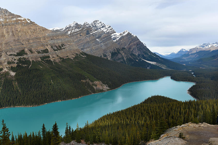 Peyto Lake Photograph by Jeffrey Hamilton - Fine Art America