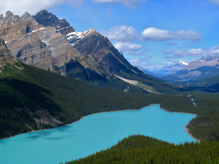 Peyto Lake Photograph by Jennifer Albee - Fine Art America