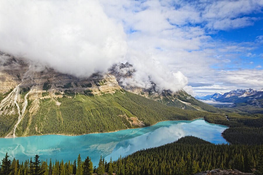 Banff National Park Photograph - Peyto Lake Reflections by George Oze