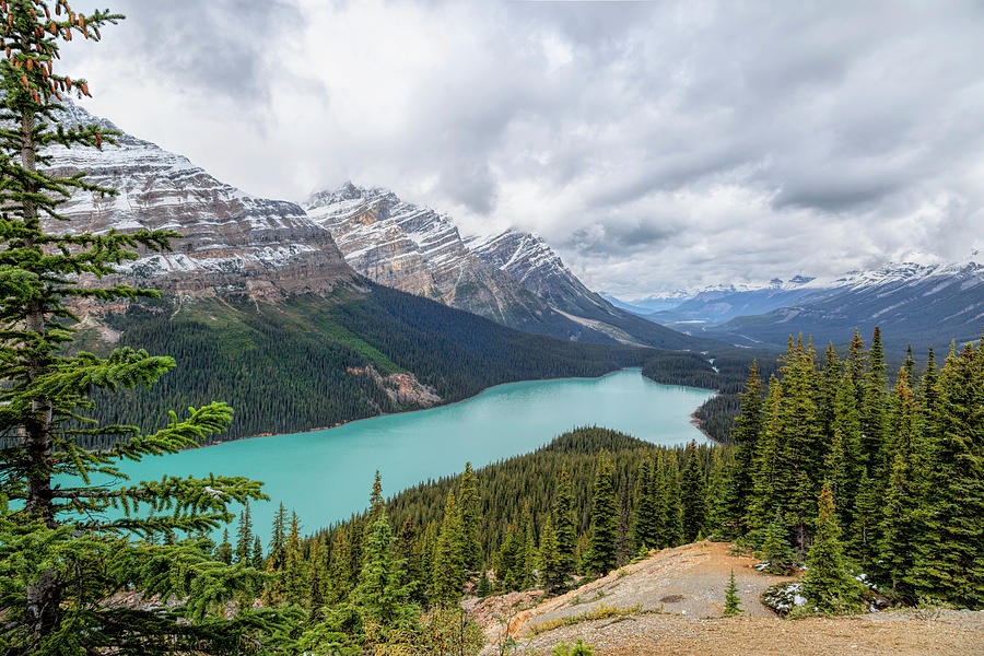 Peyto Lake seen from Bow Summit Banff National Park, Rocky Mountains ...