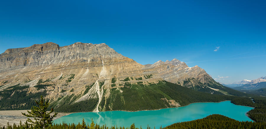 Peyto Lake view point from Bow Summit Photograph by Edwin Christopher ...