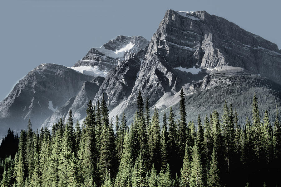 Peyto Mountains Photograph By Ken Mcmullen - Fine Art America