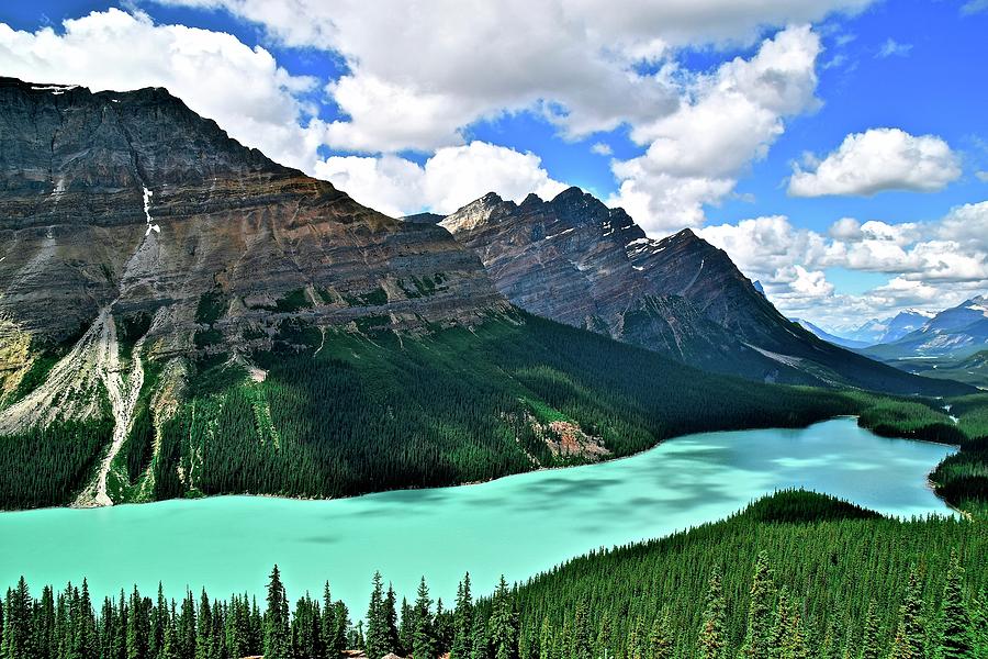 Peyto Perfection Photograph by Frozen in Time Fine Art Photography