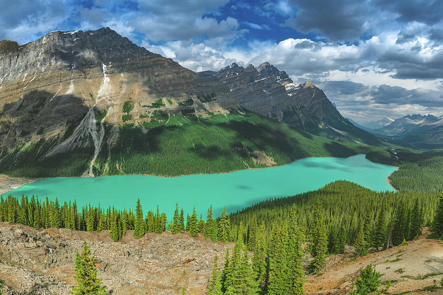 Peyto Photograph by Scott Aspinall - Fine Art America