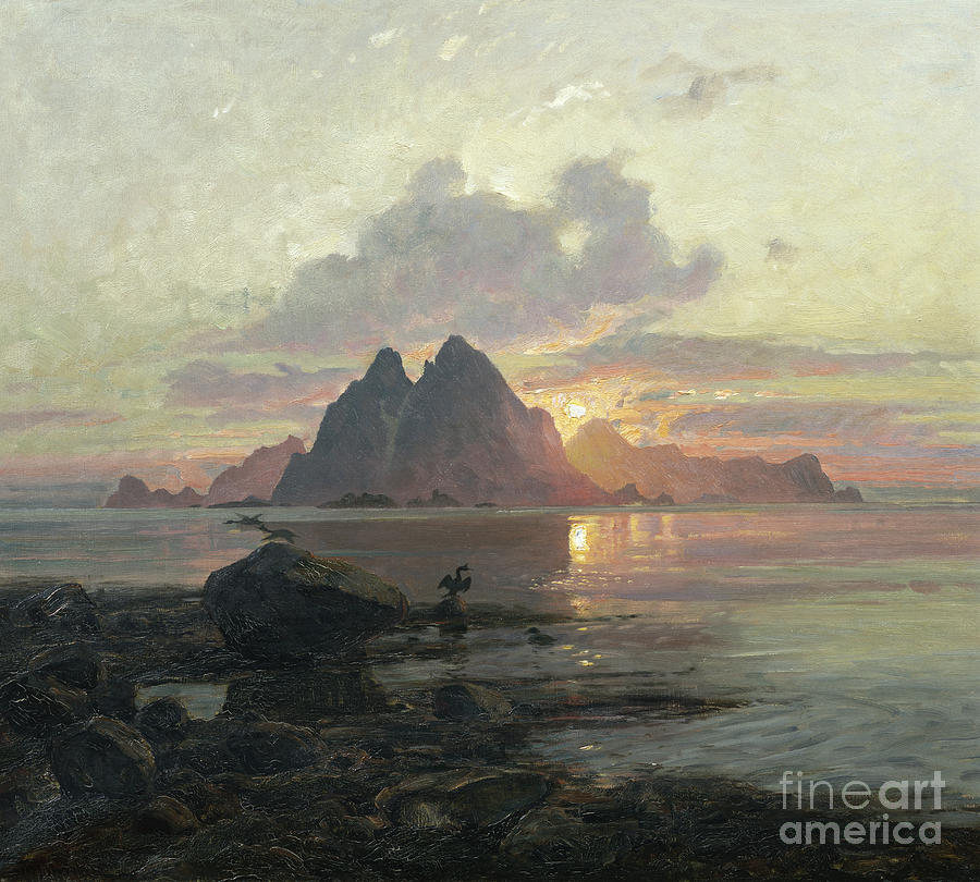 Phalacrocoarax aristotelis in midnight sun Painting by Thorolf Holmboe