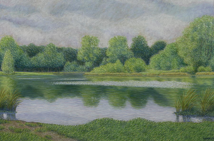 Raphael Pastel - Phalempin pond in summer, effect of wind on the water  by Raphael Seygnovert