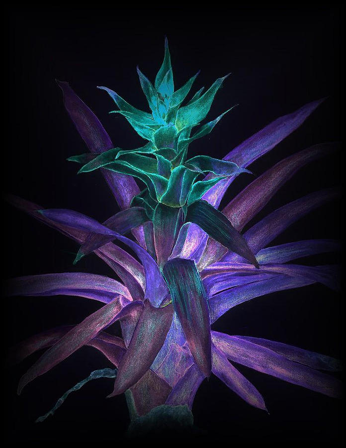 Phantom Bromeliad by Penrith Goff Phantom Bromeliad by Penrith Goff