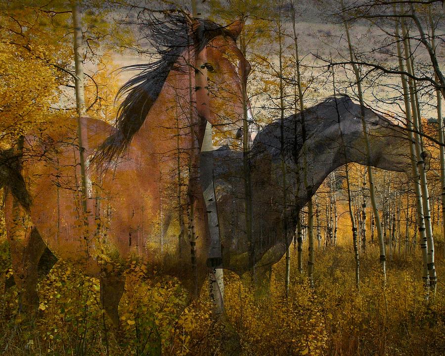 Horse Photograph - Phantom Grove by Gene Praag Horse Photograph - Phantom Grove by Gene Praag