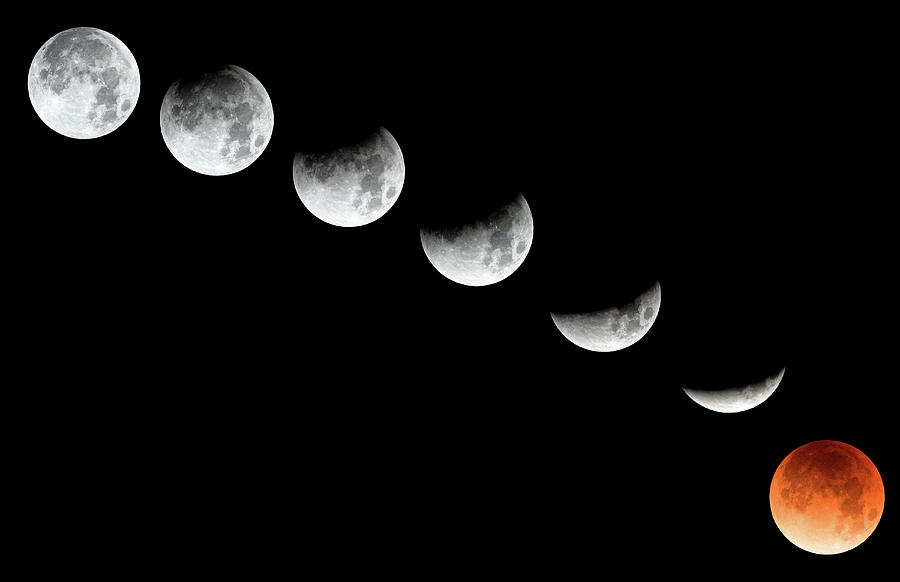 Phases Of Eclipse Photograph By Robert Warrington - Fine Art America