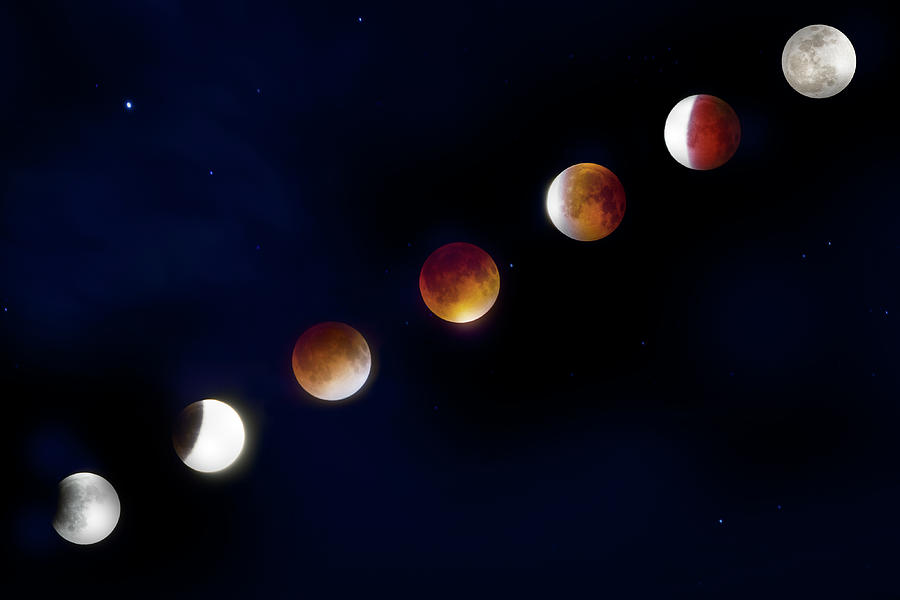 Phases of the Lunar Eclipse Photograph by Mark Andrew Thomas