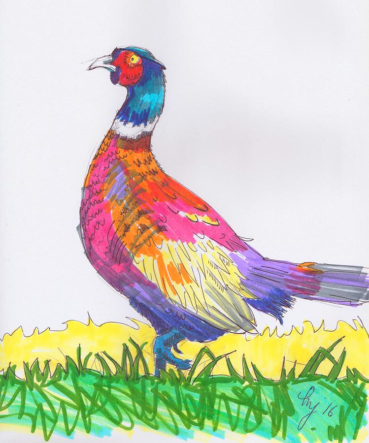 Pheasant Drawing Drawing by Mike Jory
