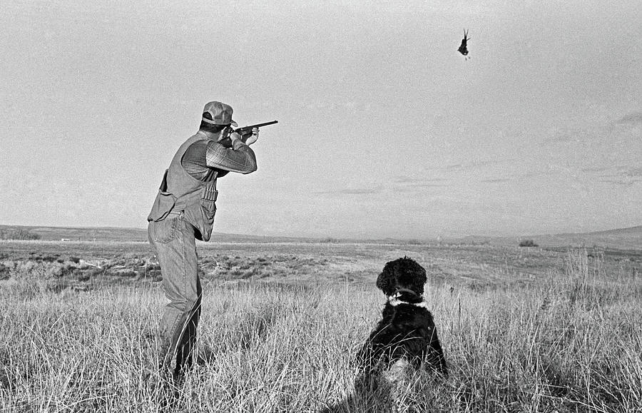 Pheasant Hunter Photograph by Buddy Mays