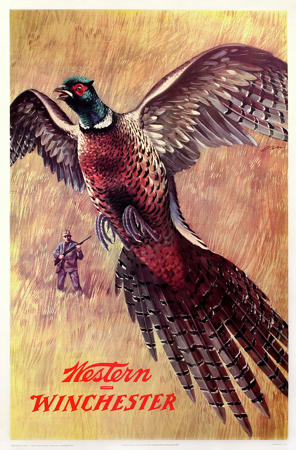 Winchester-Western Pheasant Hunting Painting by Weimer Pursell