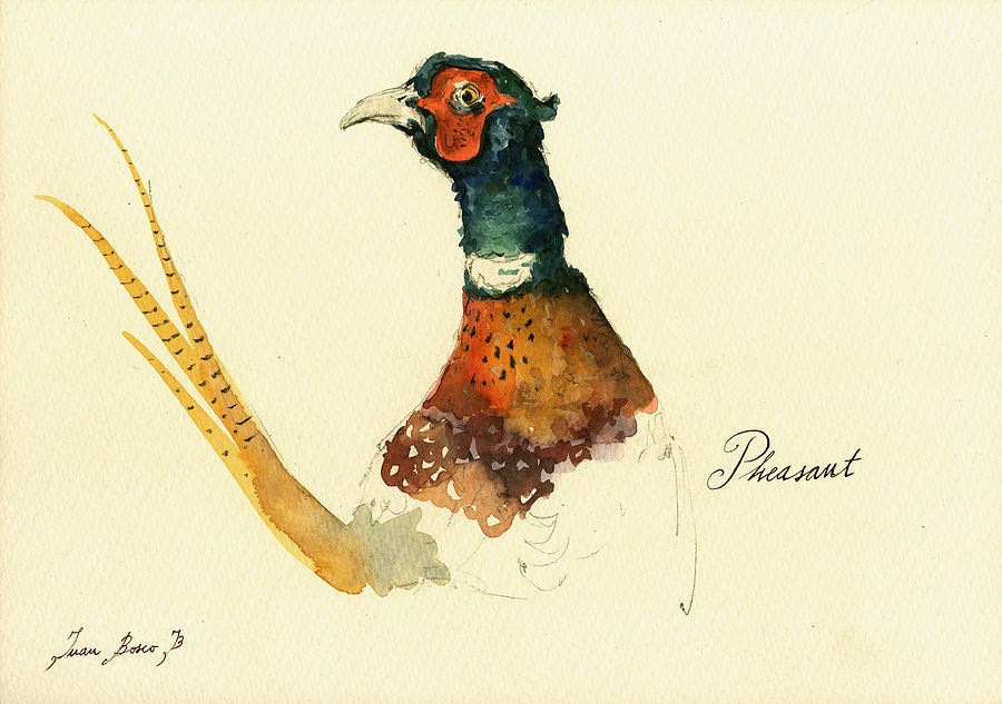 Pheasant Bird Painting - Pheasant painting by Juan  Bosco