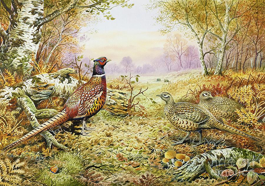 Bird Painting - Pheasants in Woodland by Carl Donner