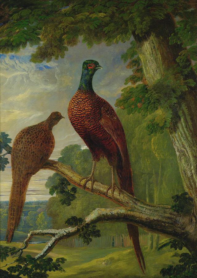 Pheasants Painting by Celestial Images