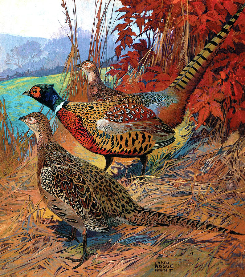 Hunting Praire Chickens by Lynn Bogue Hunt 