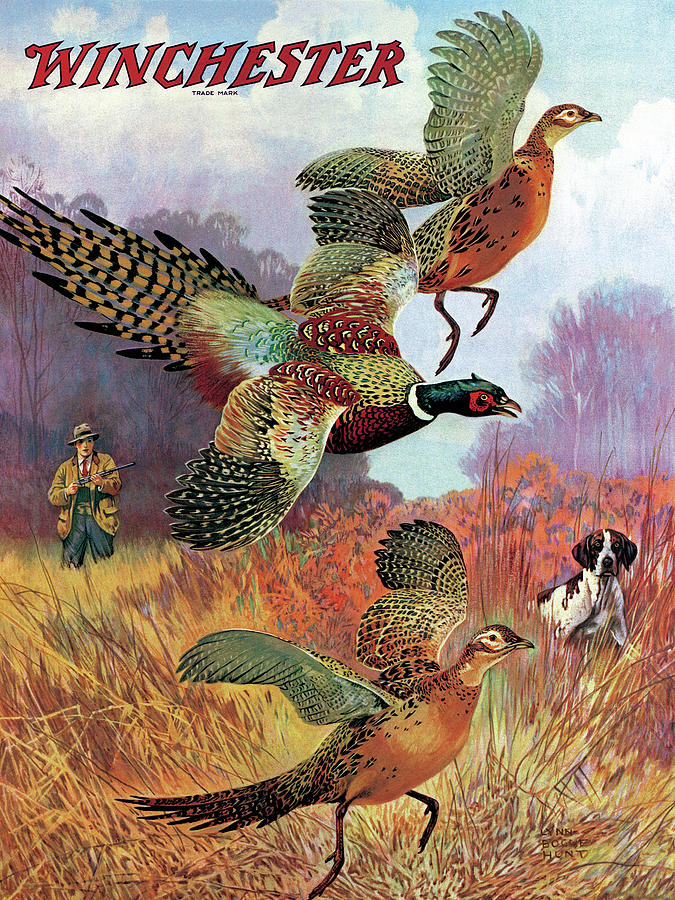 Image result for pheasant hunting art