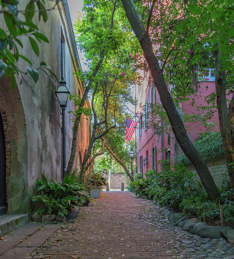 Tree Photograph - Philadelphia Alley Charleston by Todd Wise