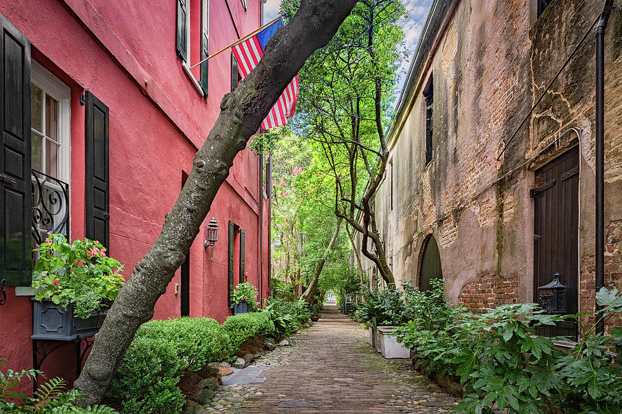 Philadelphia Alley  Photograph by DCat Images