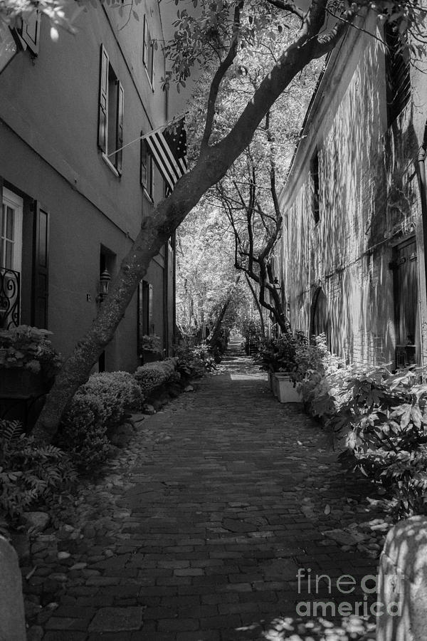 Philadelphia Alley in Black and White Photograph by Dale Powell