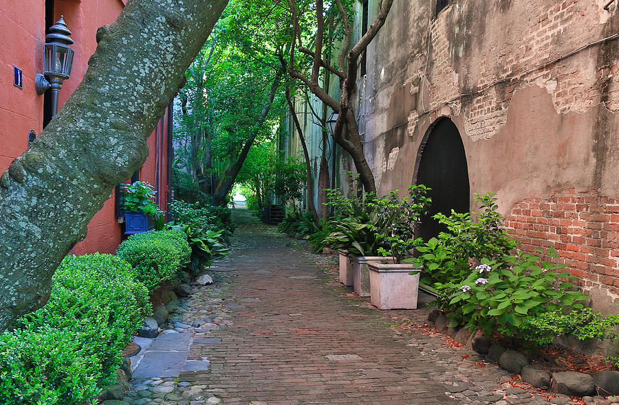Philadelphia Alley in Charleston SC Photograph by Donnie Whitaker