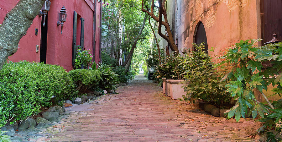 Brick Photograph - Philadelphia Alley by Todd Wise
