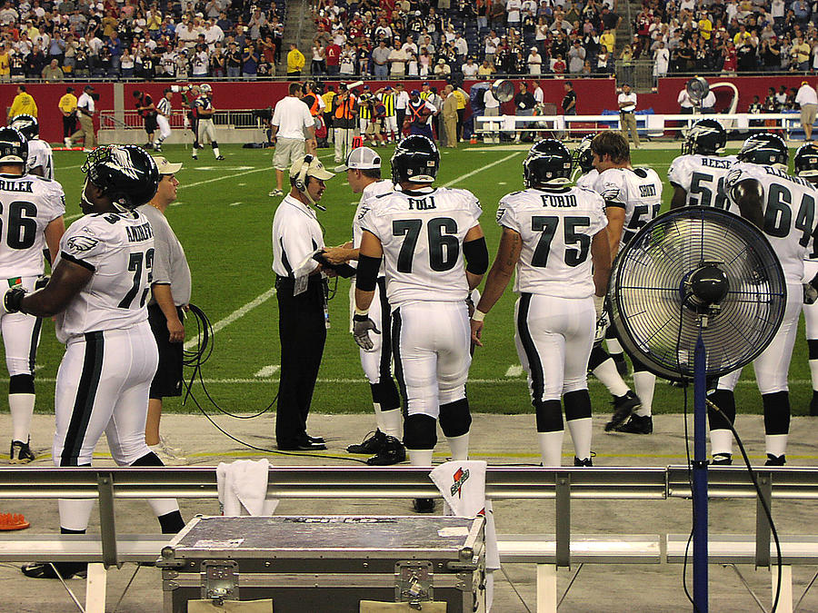 Philadelphia Eagles Bench Photograph by Mike Martin