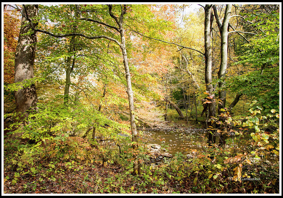 Philadelphia Landmark, Pennypack Creek, Woods, Autumn Photograph by A Macarthur Gurmankin