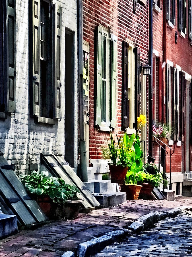 Philadelphia PA Street With Flower Pots Photograph by Susan Savad