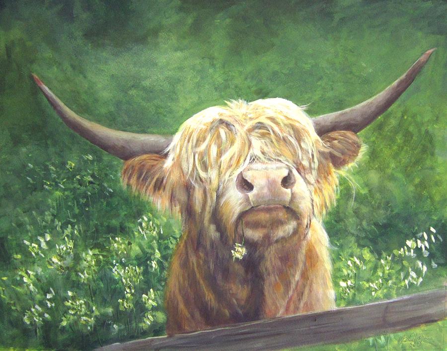 Phillip -A scottish Highland Bull Painting by Elizabeth Ellis