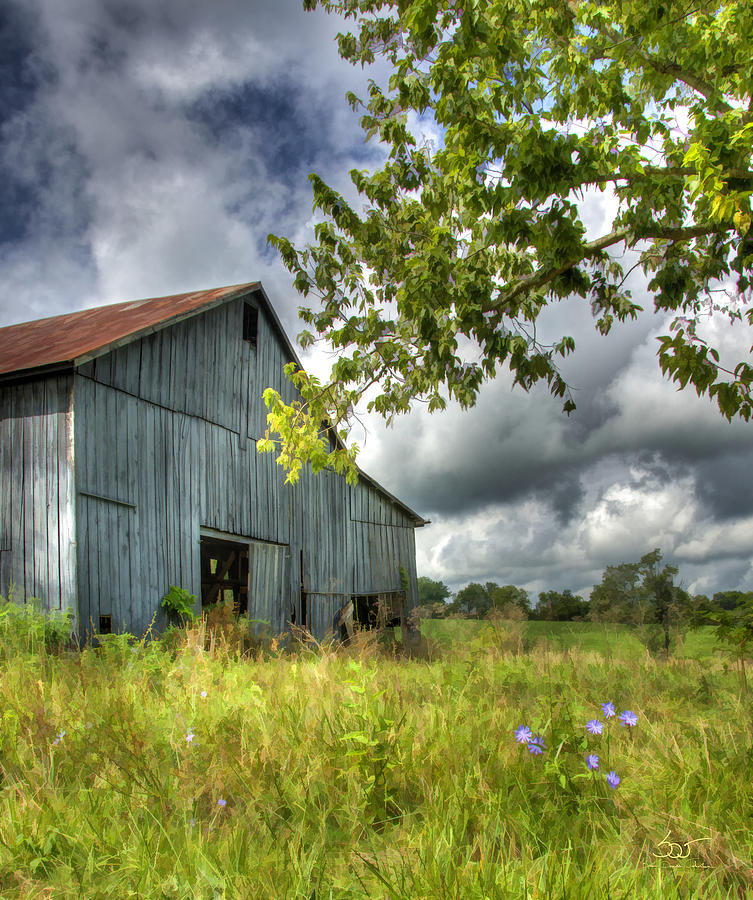 Phillips Barn #2 Photograph by Sam Davis Johnson