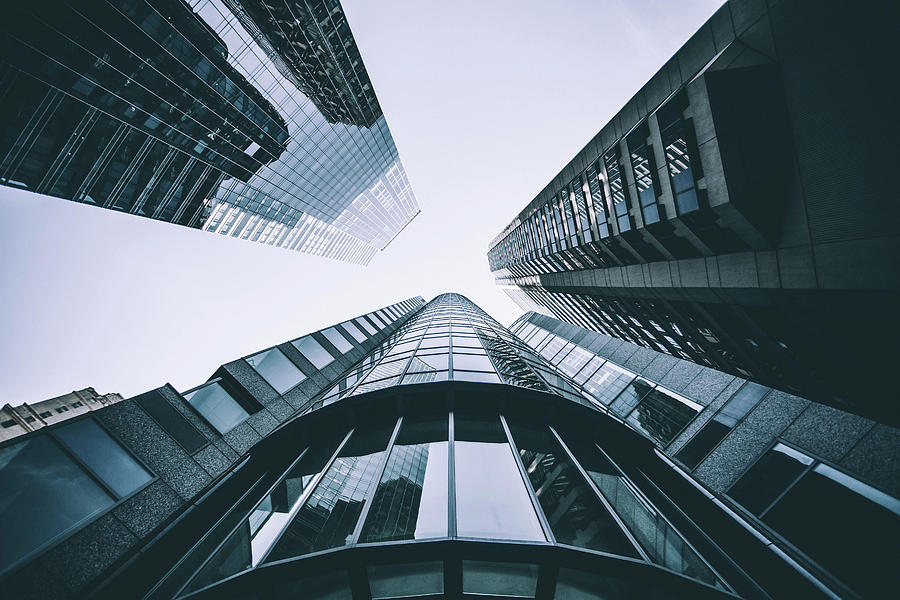 Philly Lookup Photograph by Shannon O'Toole Fine Art America