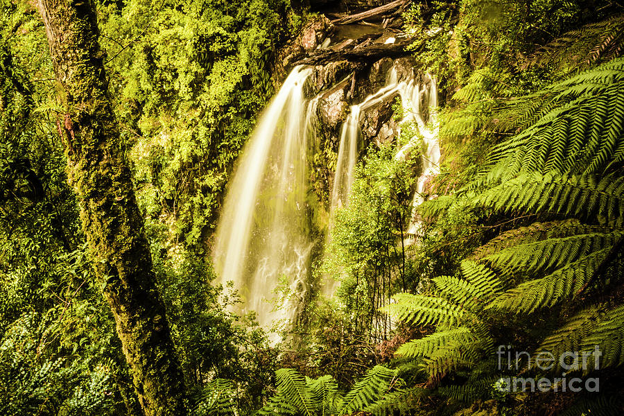 Philosopher Falls, Western Tasmania Photograph by Jorgo Photography