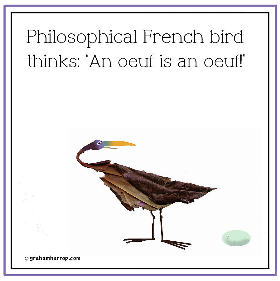 Philosophical bird Digital Art by Graham Harrop