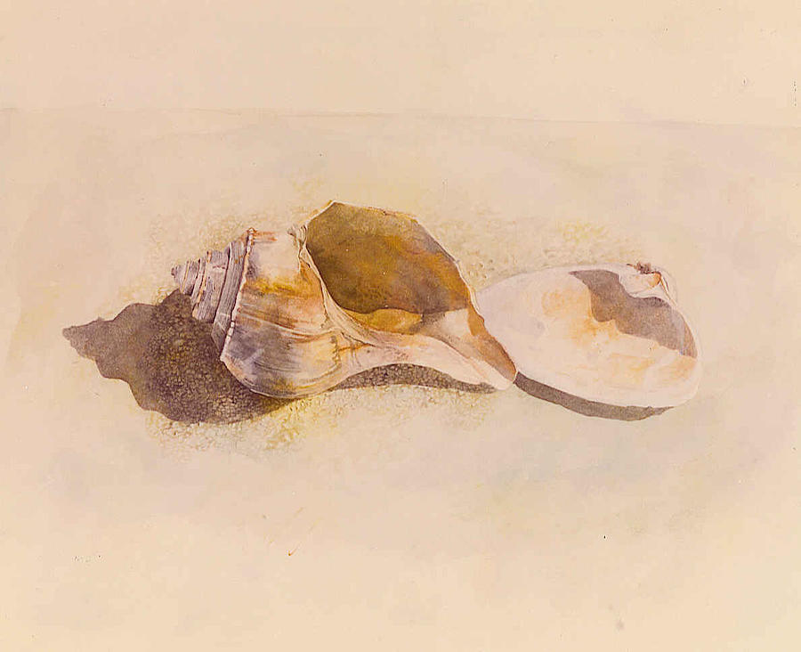 Shell Painting - Phinneys Point Shells by Tyler Ryder